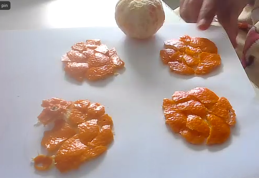 (Image shows the 4 circles perfectly filled by Mehr's mandarin peel).